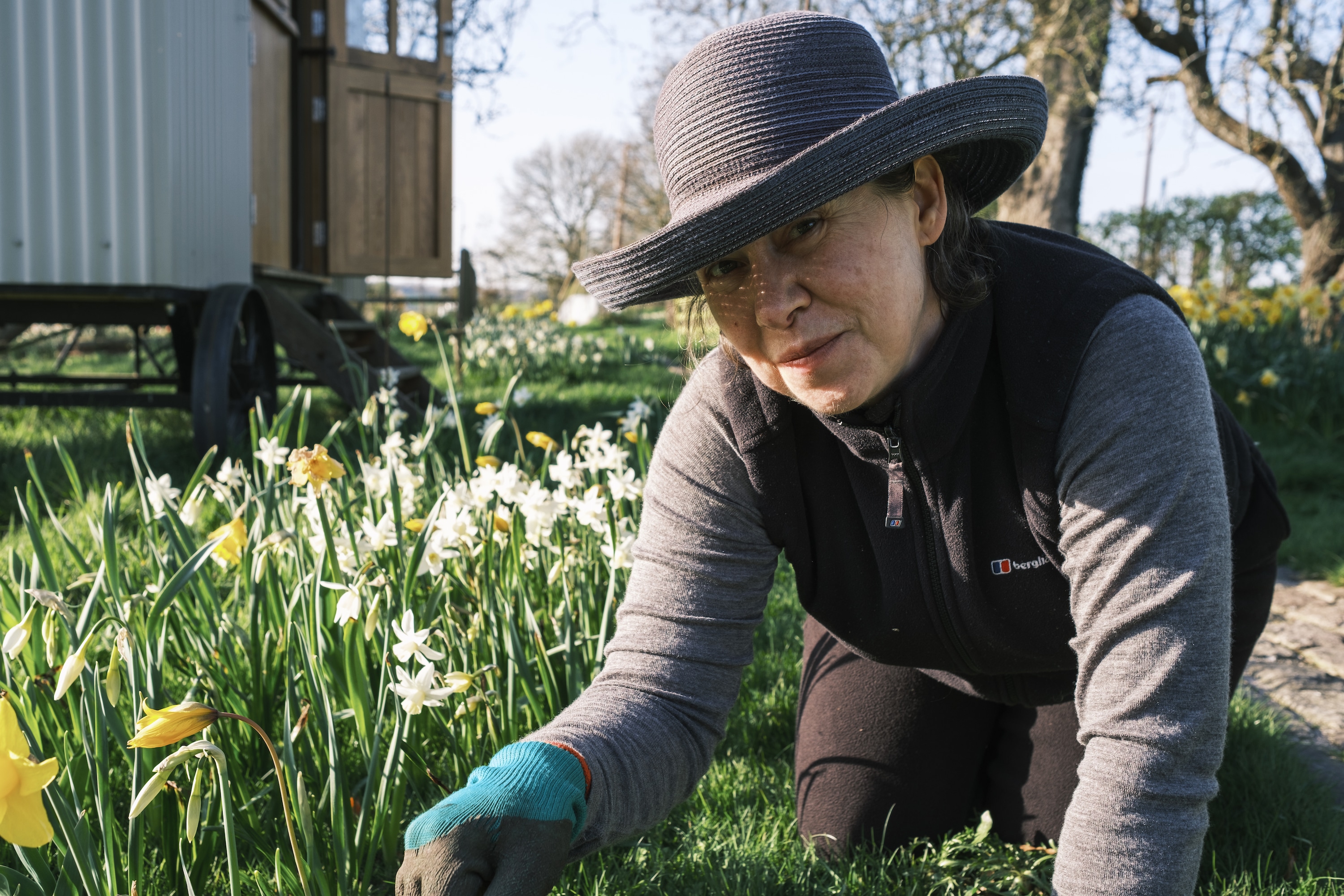 Featured image for “Planting Daffodils For A Succession Of Sustainable Spring Cut Flowers”