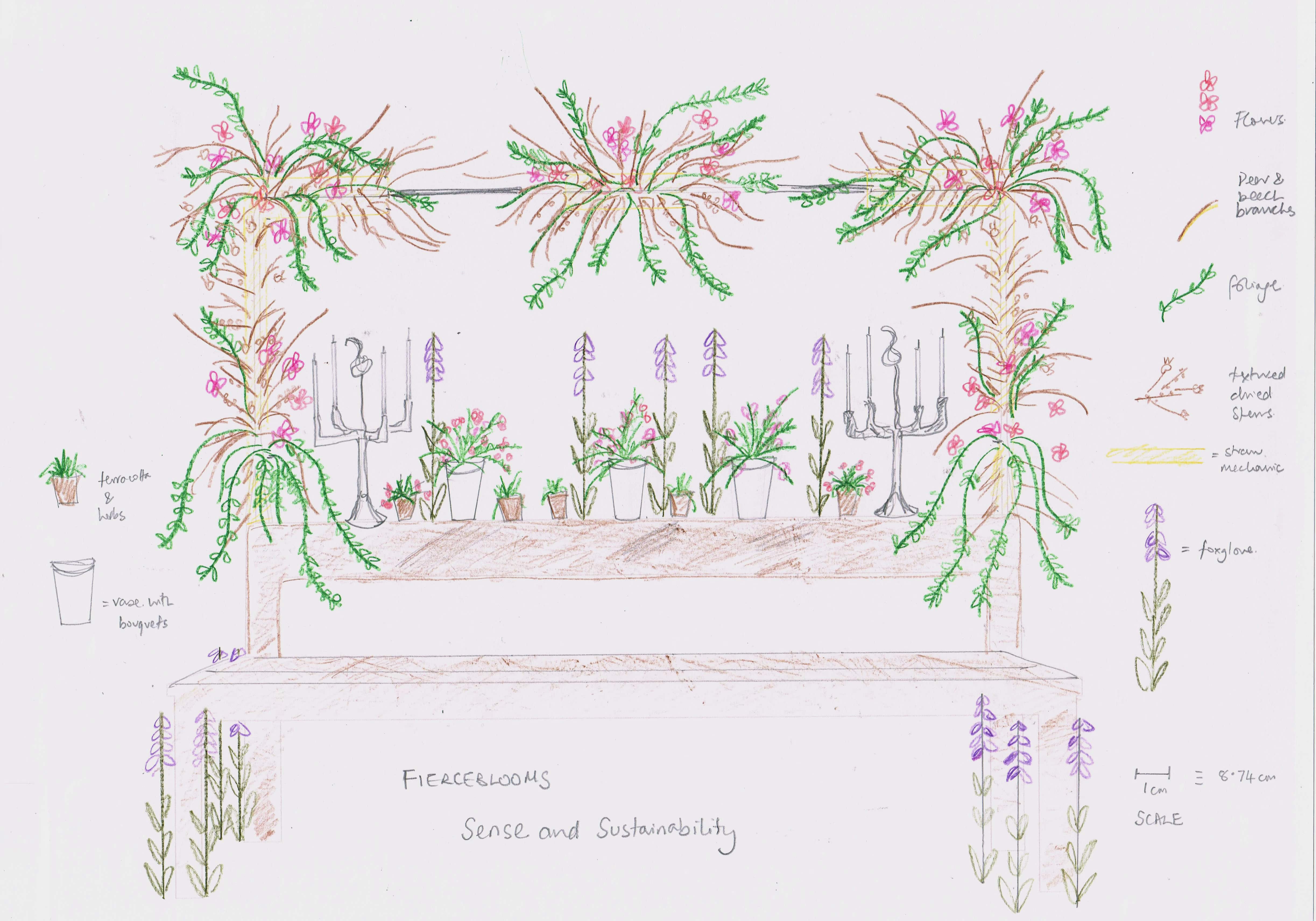 Featured image for “Sense And Sustainability At RHS Flower Show Tatton Park”