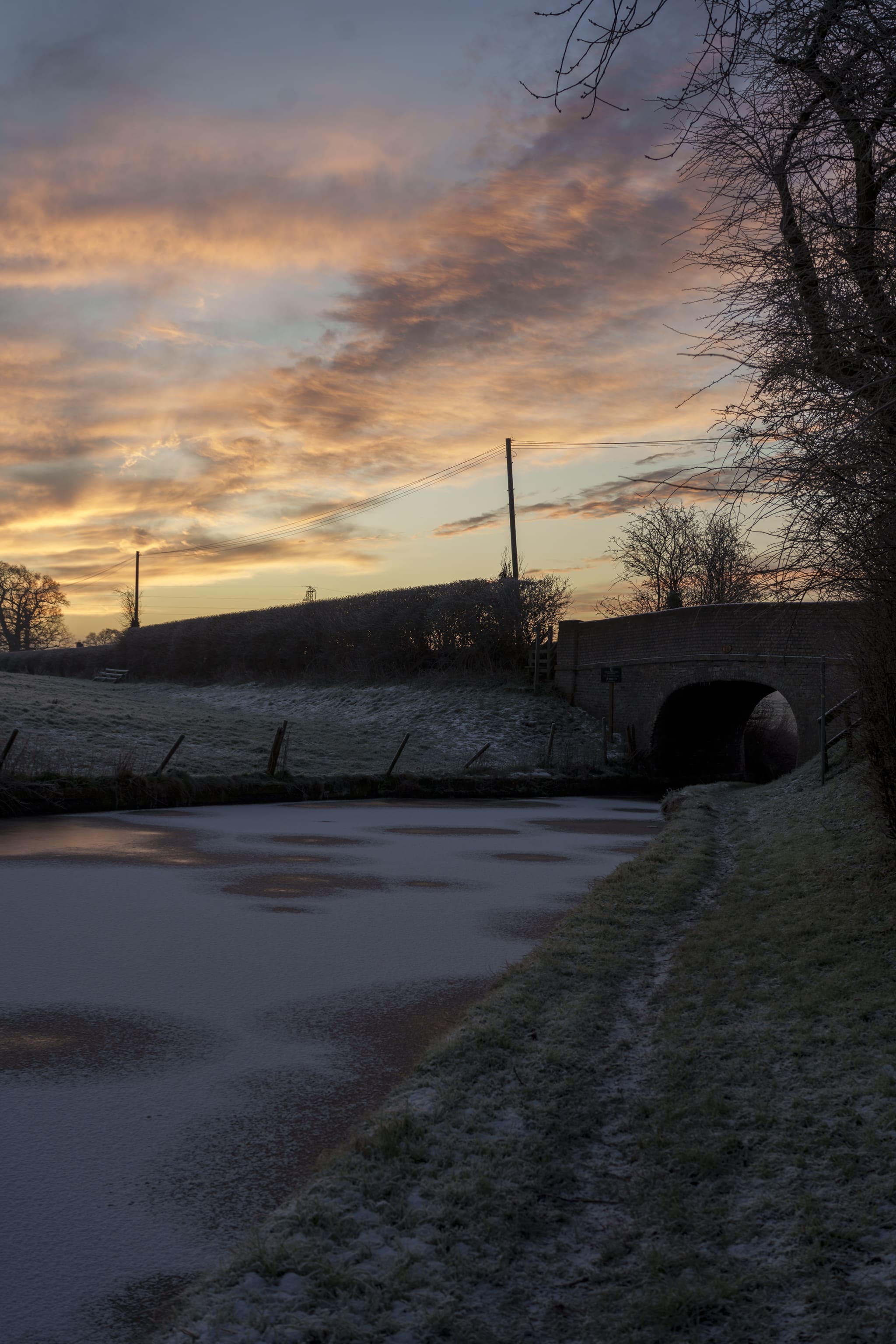 Featured image for “Floral Cuttings Late Winter 2024”