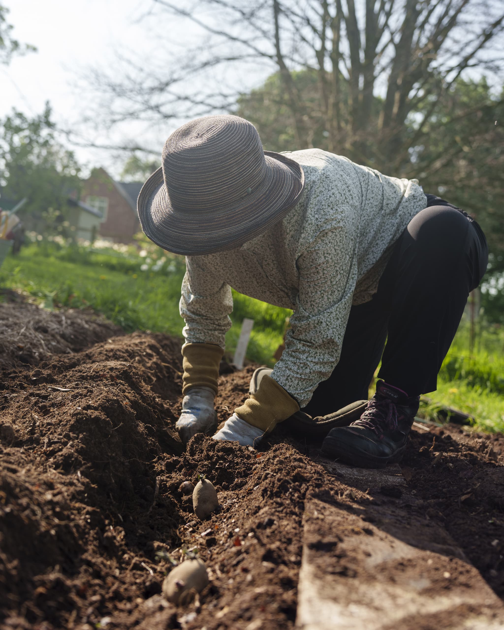 Featured image for “Planting A Paradigm Shift”