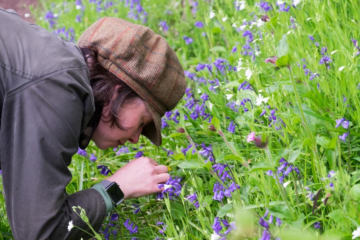 Featured image for “Foraging – A Wild Garden Style Floristry Secret”